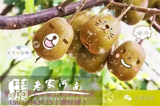 8¹ժLǍJ