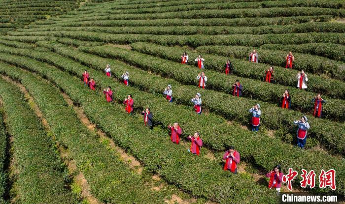 圖為與會嘉賓及茶農(nóng)現(xiàn)場“喊山”。龔勁松攝