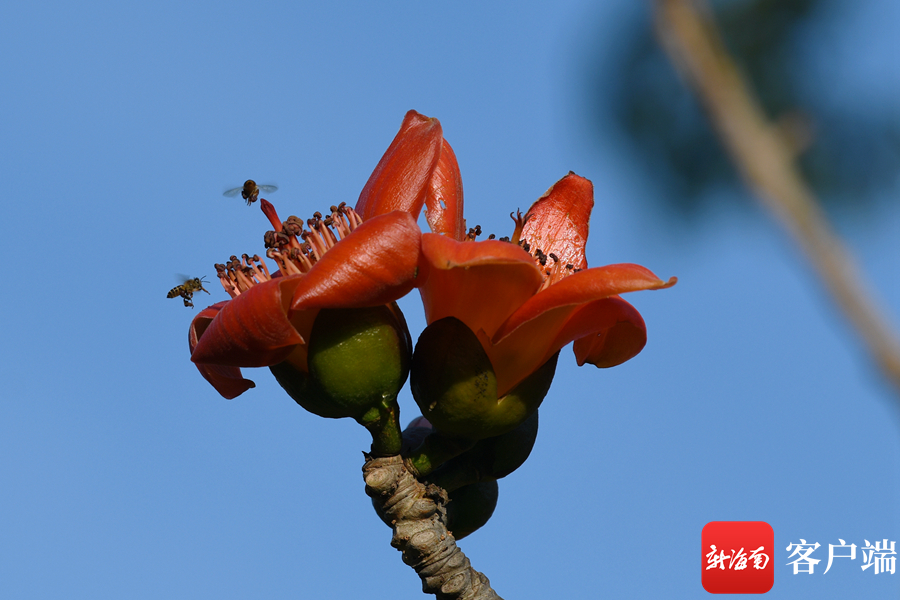 ڣľ޾`Ŵ