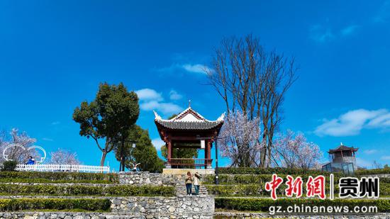 3月5日古鎮(zhèn)春日風(fēng)景游客逛涼亭。  李靈攝