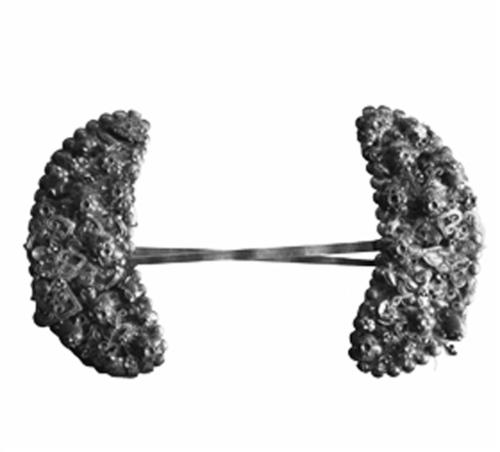 y̽cl(f)